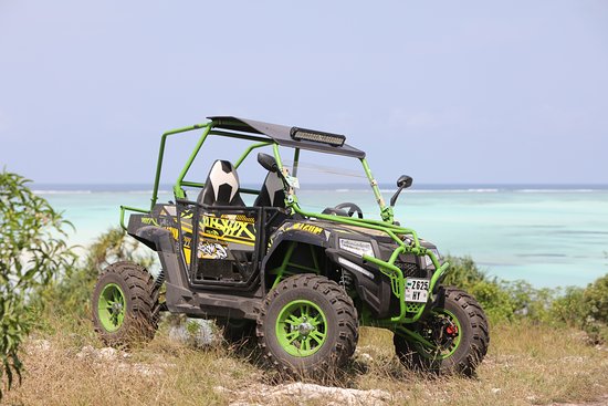 Buggy Tour 2