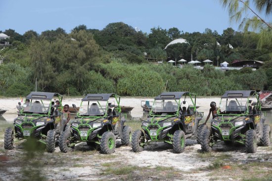 Buggy Tour 6