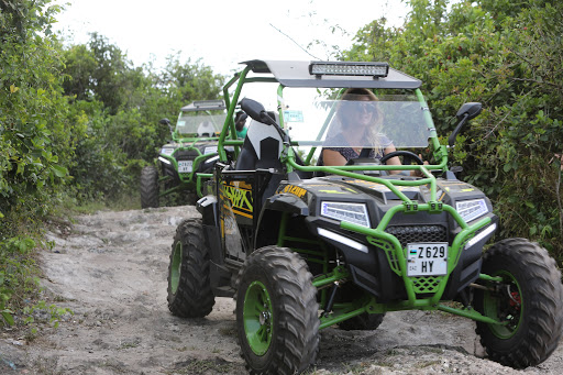 Buggy Tour