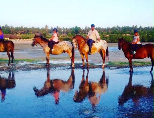 Zanzibar Horseback Riding Adventure