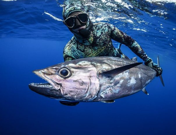 Spearfishing from Paje East Coast Zanzibar 6
