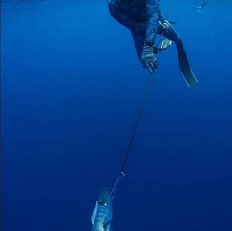 Spearfishing from Paje East Coast Zanzibar 8
